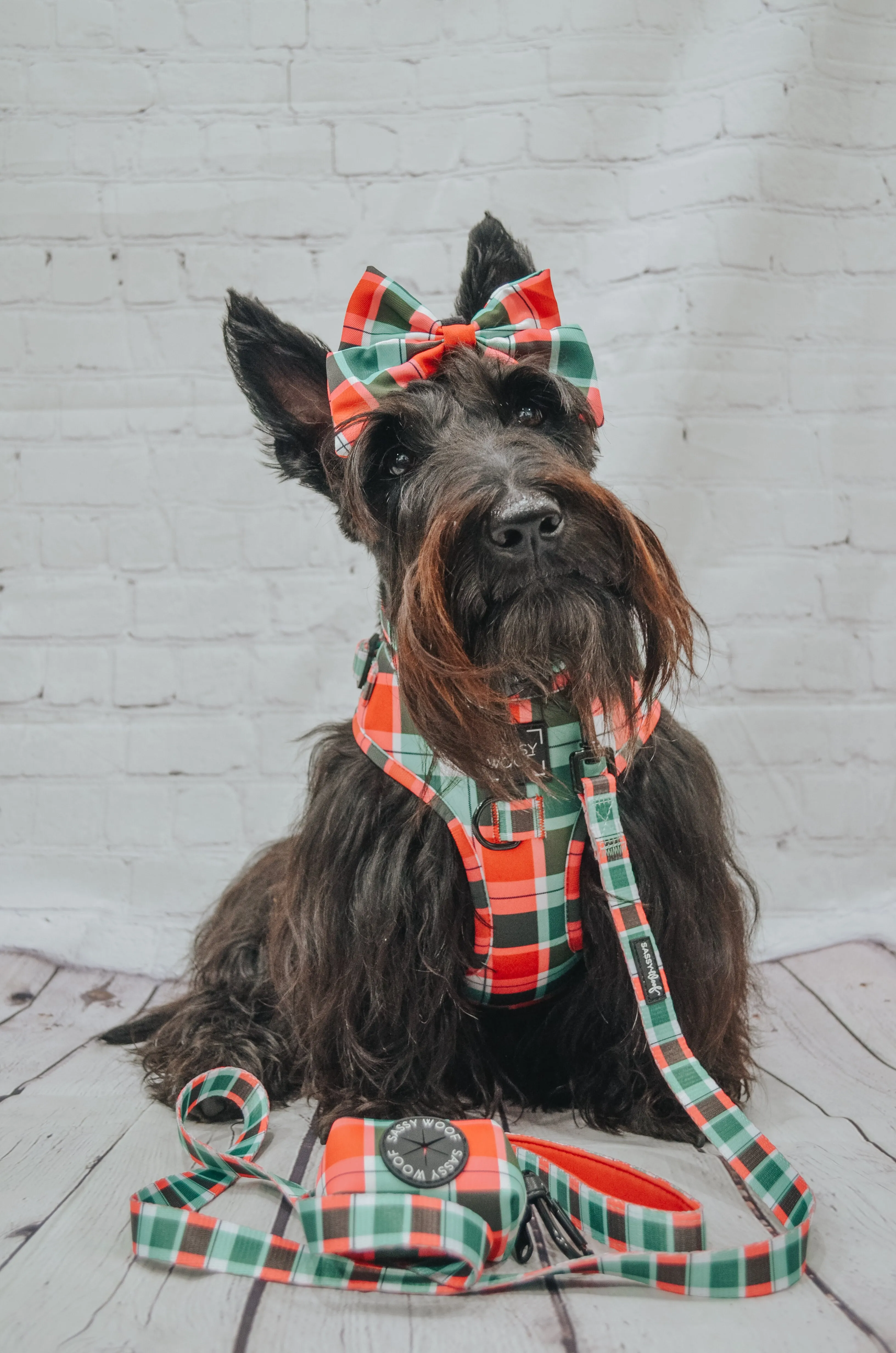 Dog Sailor Bow - Jingle Barks