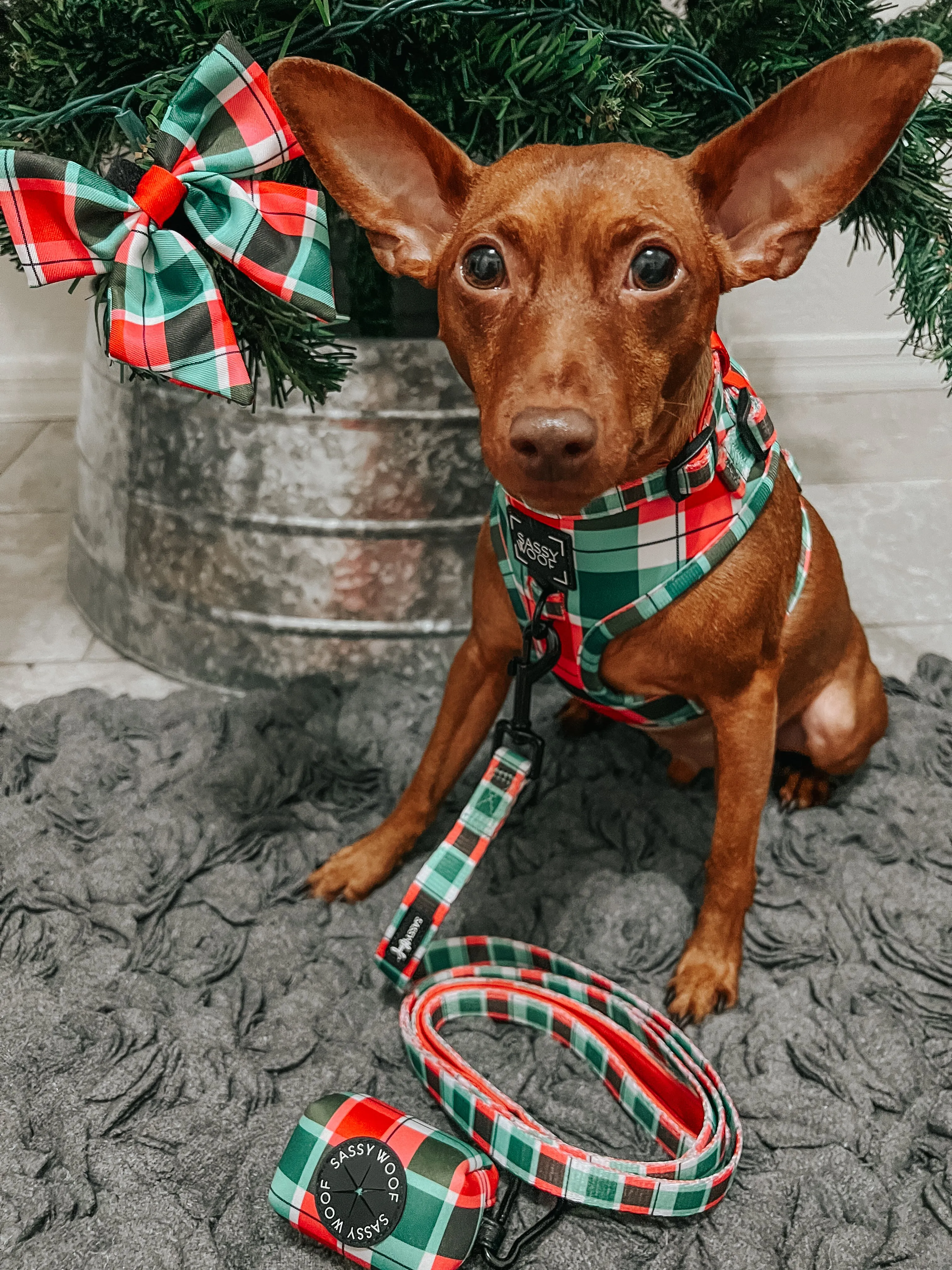 Dog Sailor Bow - Jingle Barks