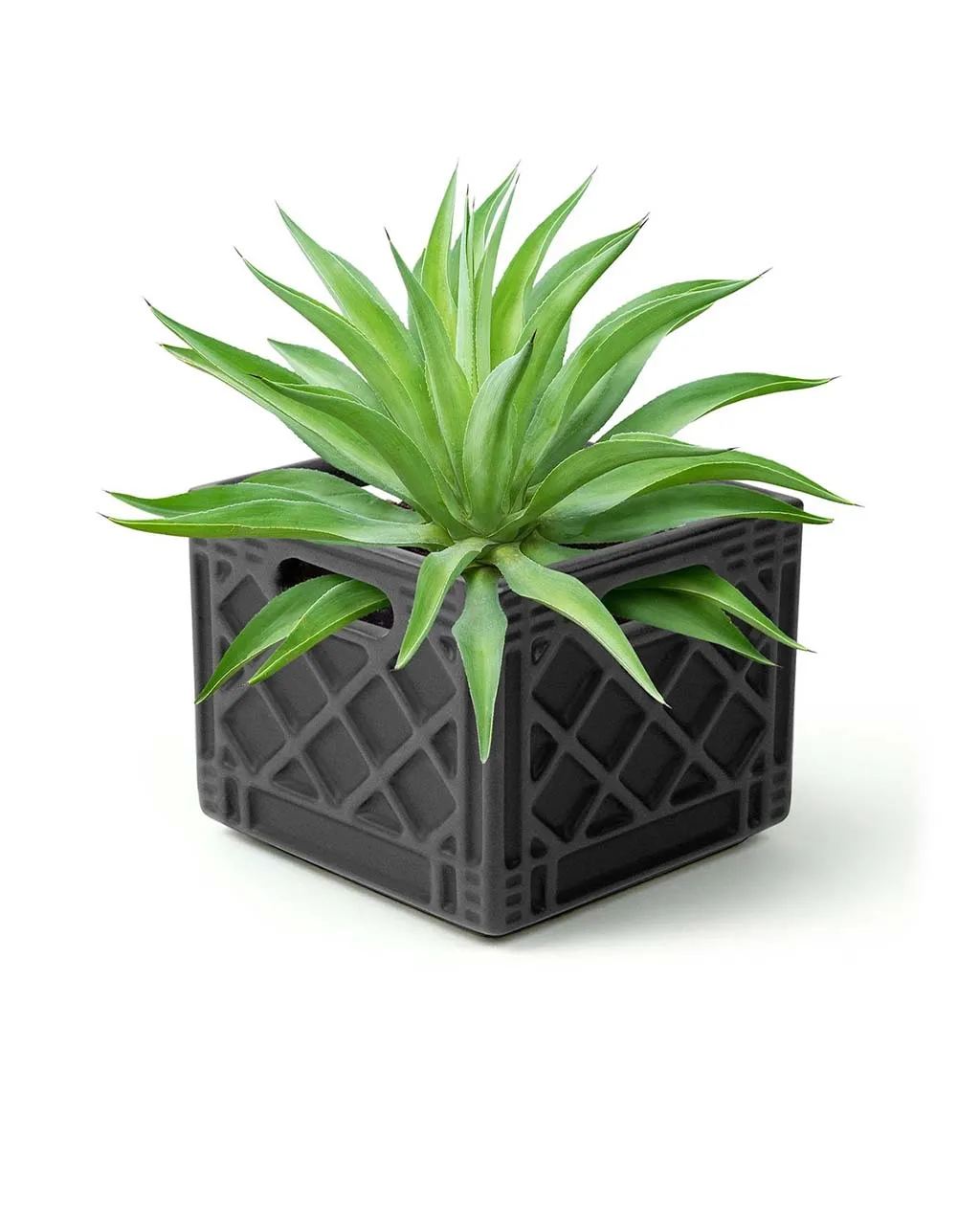 Fancy Plants Planter - Milk Crate